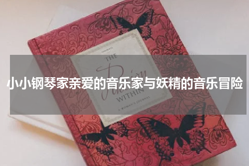 小小钢琴家亲爱的音乐家与妖精的音乐冒险