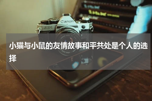 小猫与小鼠的友情故事和平共处是个人的选择