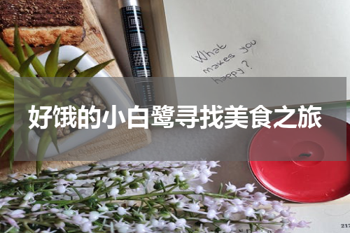 好饿的小白鹭寻找美食之旅