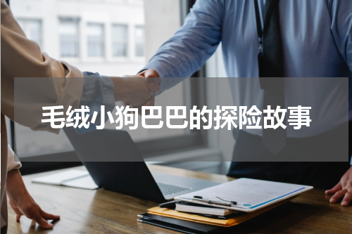 毛绒小狗巴巴的探险故事