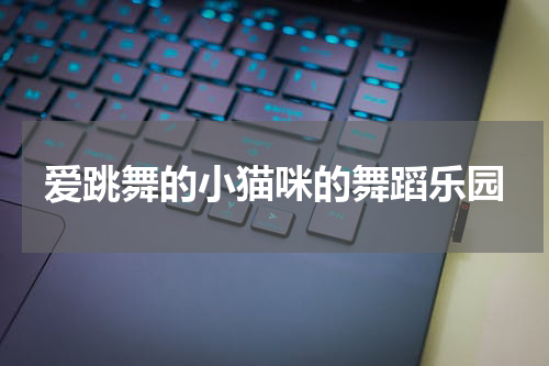 爱跳舞的小猫咪的舞蹈乐园