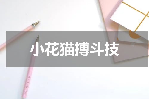 小花猫搏斗技