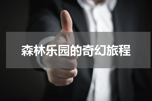 森林乐园的奇幻旅程