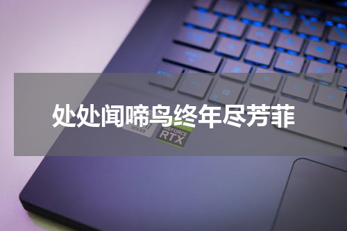 处处闻啼鸟终年尽芳菲