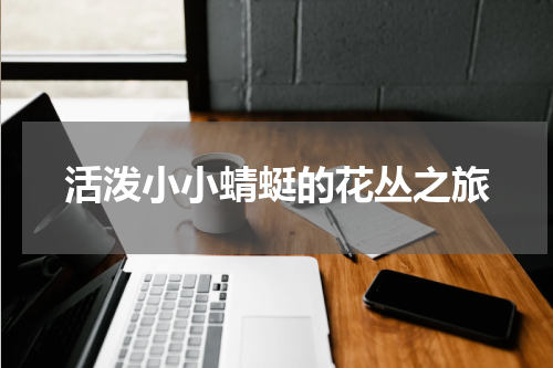 活泼小小蜻蜓的花丛之旅