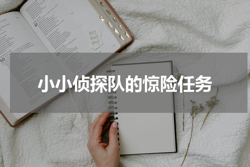 小小侦探队的惊险任务