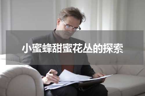 小蜜蜂甜蜜花丛的探索