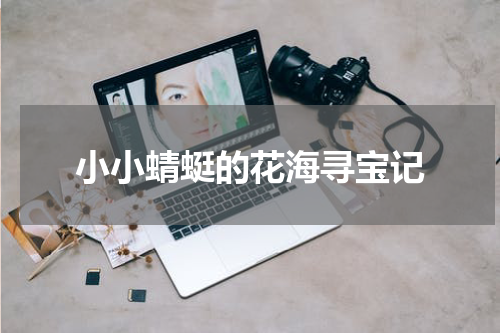 小小蜻蜓的花海寻宝记