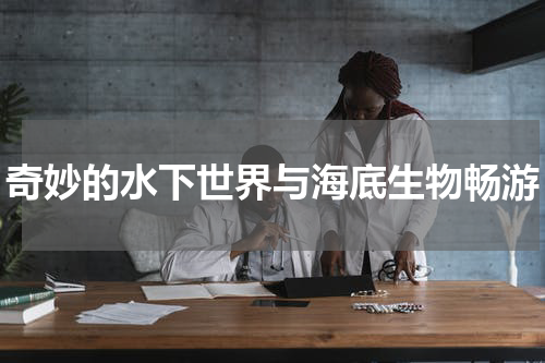 奇妙的水下世界与海底生物畅游