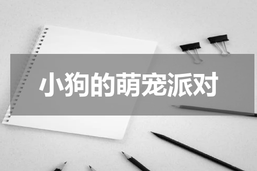 小狗的萌宠派对