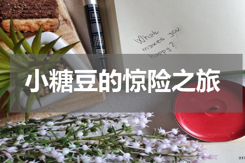 小糖豆的惊险之旅