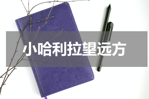 小哈利拉望远方