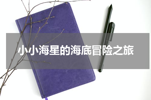 小小海星的海底冒险之旅
