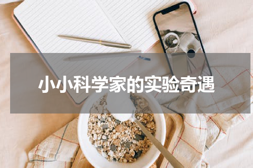 小小科学家的实验奇遇