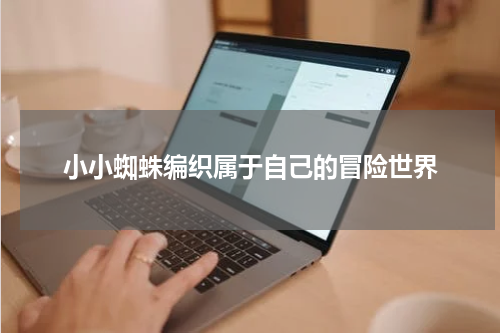 小小蜘蛛编织属于自己的冒险世界