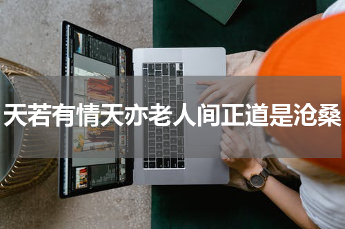 天若有情天亦老人间正道是沧桑