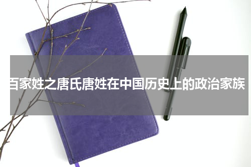 百家姓之唐氏唐姓在中国历史上的政治家族