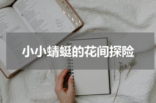 小小蜻蜓的花间探险