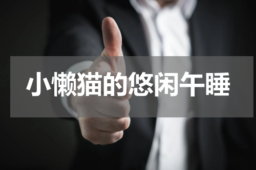 小懒猫的悠闲午睡