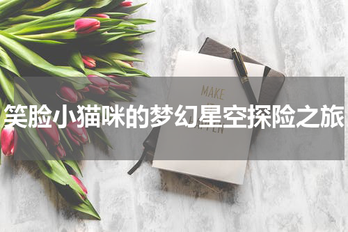 笑脸小猫咪的梦幻星空探险之旅