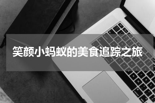 笑颜小蚂蚁的美食追踪之旅