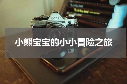 小熊宝宝的小小冒险之旅