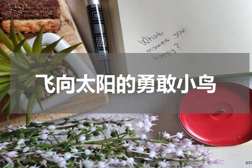 飞向太阳的勇敢小鸟