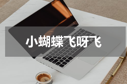 小蝴蝶飞呀飞