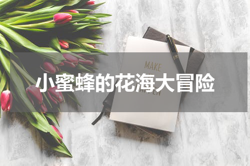 小蜜蜂的花海大冒险