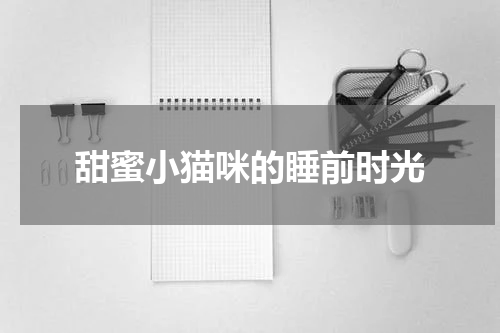甜蜜小猫咪的睡前时光